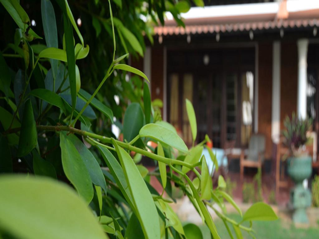 Hotel Sun And Sea Bentota Exterior photo